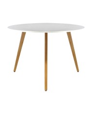 MESA FRANKFURT CIRCULAR 100