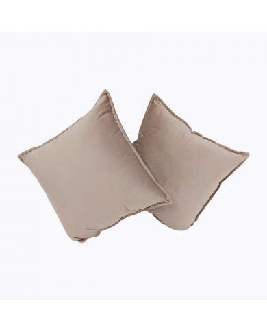 Juego de 2 Cojines Decorativos