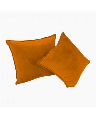 Juego de 2 Cojines Decorativos