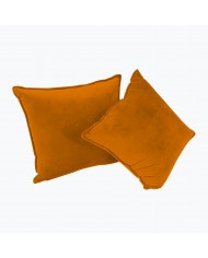 Juego de 2 Cojines Decorativos